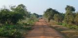 Yala National Park